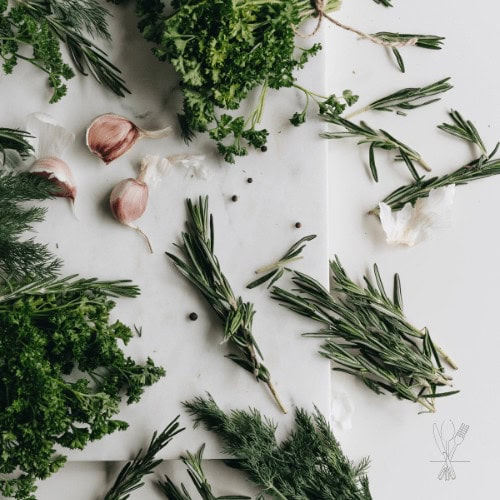 Du suchst alltagstaugliche Tipps für eine vegane Ernährung mit deiner Familie? Hier findest du fundiertes Wissen und echte Unterstützung