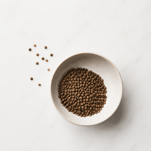Wärmende vegane Bowl mit Ofenkürbis, Linsen und nährstoffreichen Zutaten, ideal für stabile Energie, Blutzuckerbalance und hormonfreundliche Ernährung.