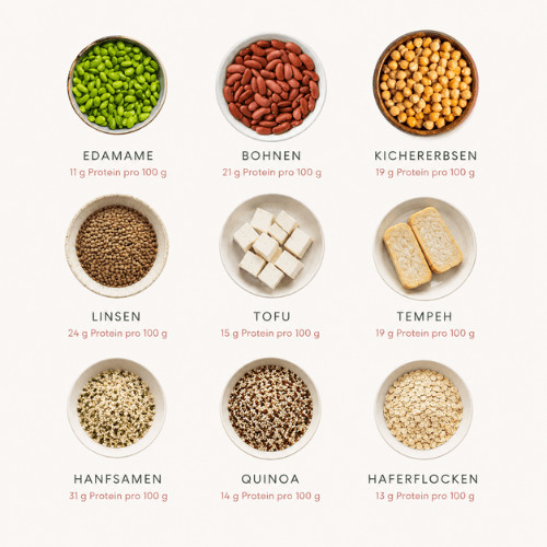 Infografik mit proteinreichen pflanzlichen Lebensmitteln und ihrem Proteingehalt pro 100 Gramm.