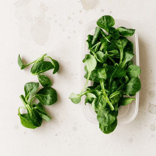 Frischer Feldsalat in einer transparenten Schale auf hellem Hintergrund, daneben einige lose Blätter als minimalistische Küchenaufnahme von oben.